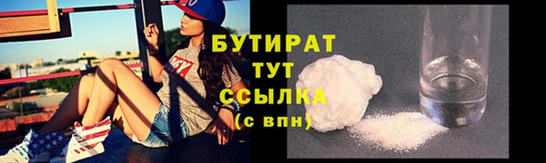 дмт Пересвет