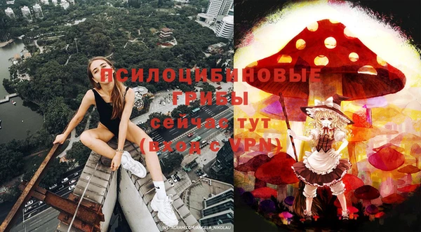 мяу мяу кристалл Осинники